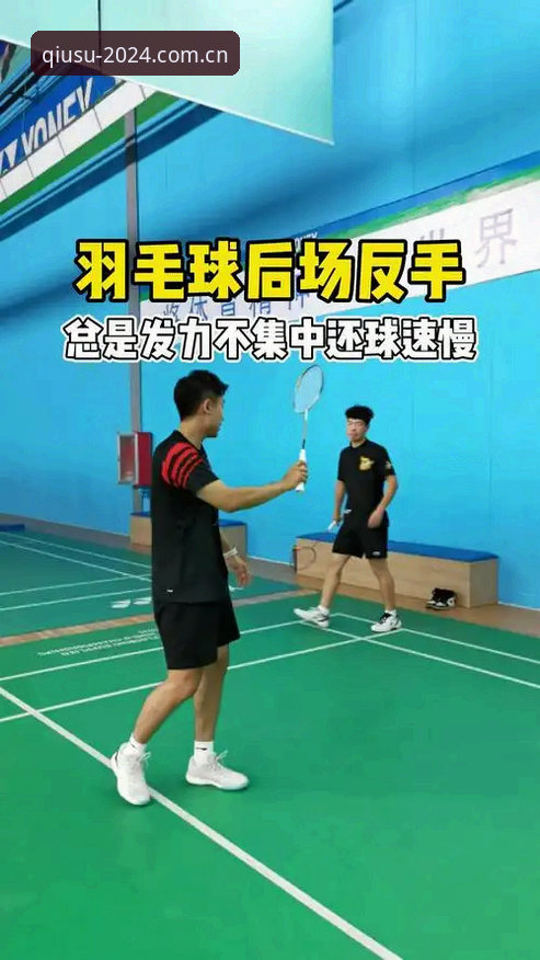 球速体育登录入口2024 揭秘球速体育登录入口2024:新版体验背后的深度真相